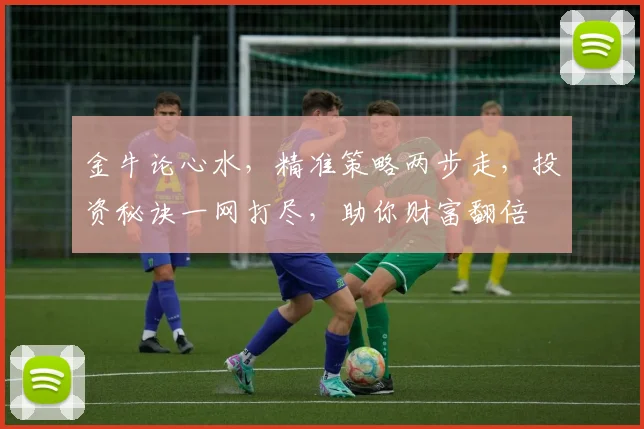 金牛论心水，精准策略两步走，投资秘诀一网打尽，助你财富翻倍